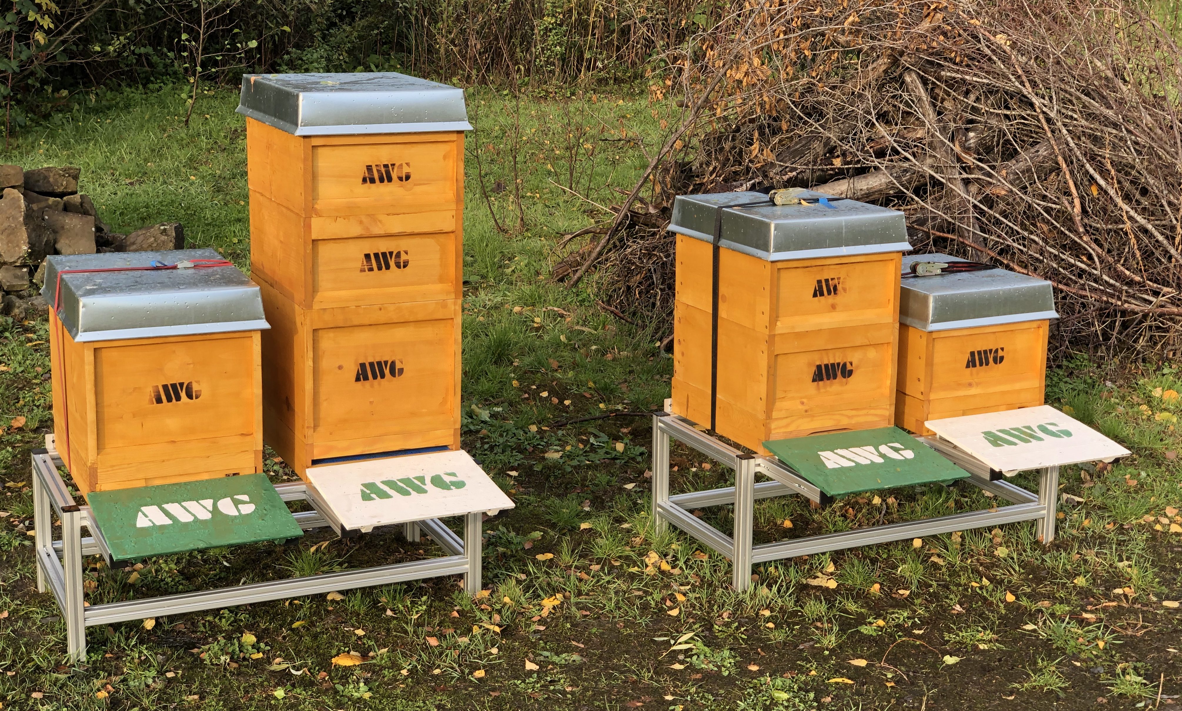 Hives of activity