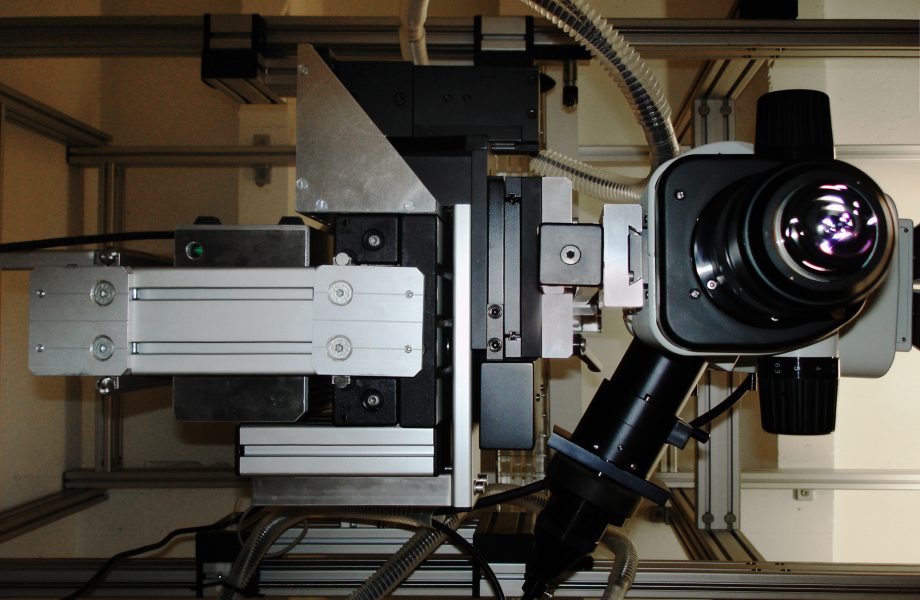 Neurobiologie in Aktion: Die flexible Mikroskopkamera