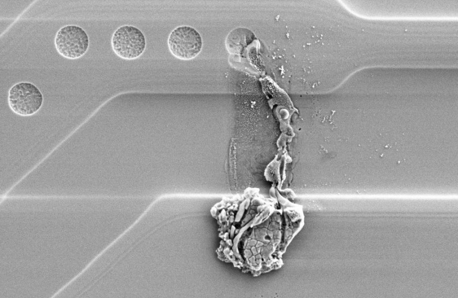 Wykrywanie szkód spowodowanych ładunkami elektrostatycznymi – za pomocą mikroskopu elektronowego